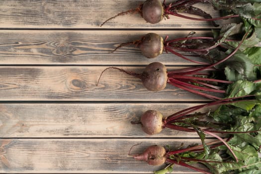 Layout of fresh, clean purple beet roots with stems and leaves on wooden background. Diet and healthy rustic seasonal food. Cooking, market produce and advertisement. Top view, flat lay, copy space