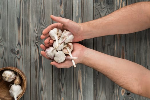 Closeup cropped man hands holding bowl of garlic bulbs on wooden table. Cooking vegetable salad with spicy condiment. Cooking natural organic farm food. Immunity and healthcare. Copy space, top view