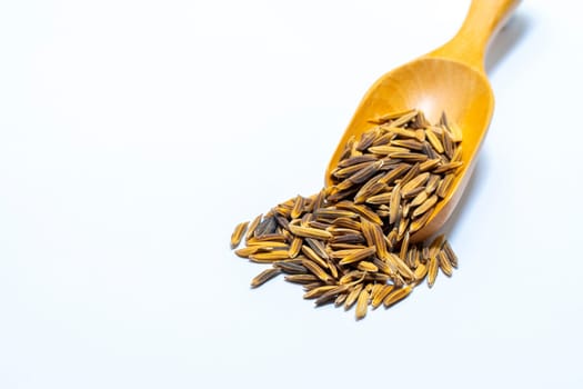 Paddy on a wooden ladle White background