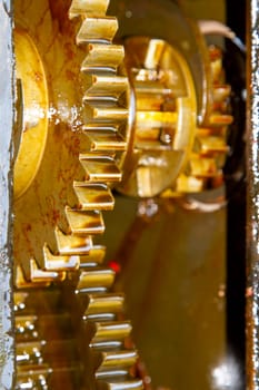 Gears with oil of service transmission gear
