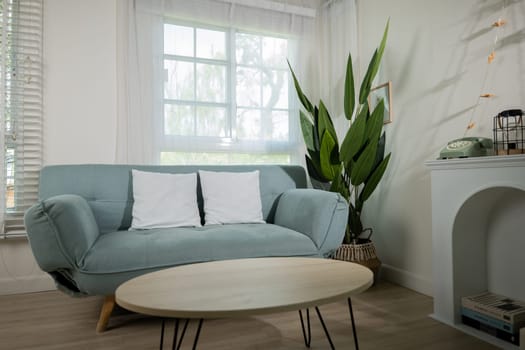 Minimal living room interior with comfortable modern green sofa near window at home sunny day, Apartment furnished empty white wall