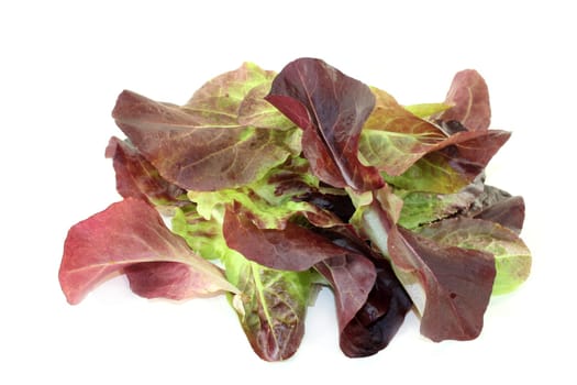 fresh red salad against a bright background
