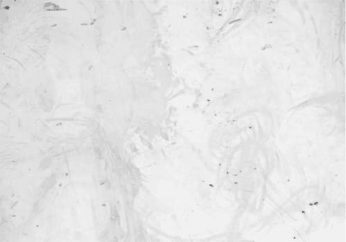 Grunge white background cement old texture wall