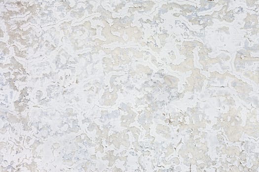 Grunge white background cement old texture wall