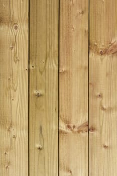 Boards on a wooden fence