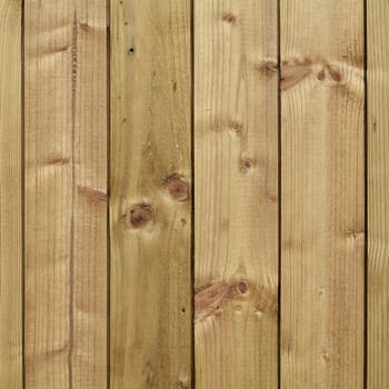 Boards on a wooden fence