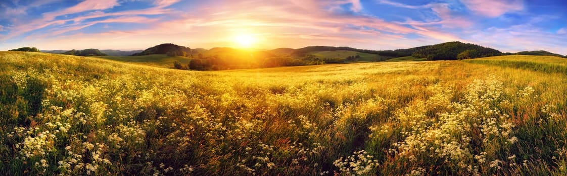 Panorama of a colorful sunset on beautiful meadow,wide format rural landscape with vibrant colors