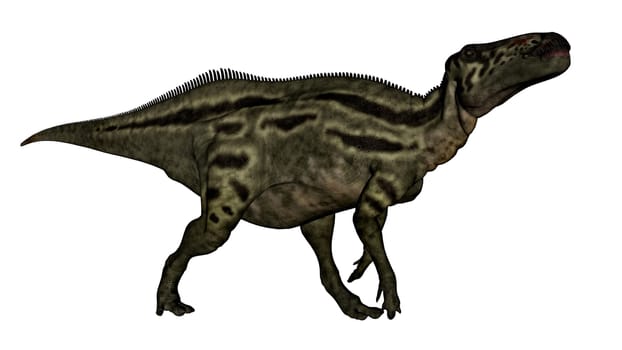 Shantungosaurus dinosaur walking isolated in white background - 3D render