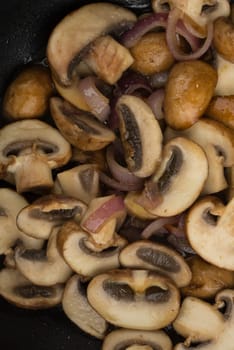some mushrooms in closeup