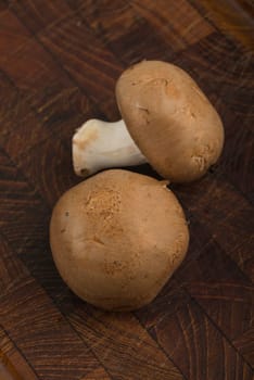 some mushrooms in closeup