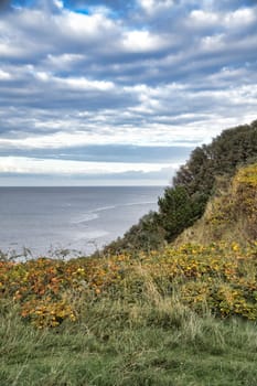 Hundested, Denmark on the cliff overlooking the sea. Baltic Sea coast, grassy meadow, beach. Clouds on horizon. Landscape photo from Scandinavia.