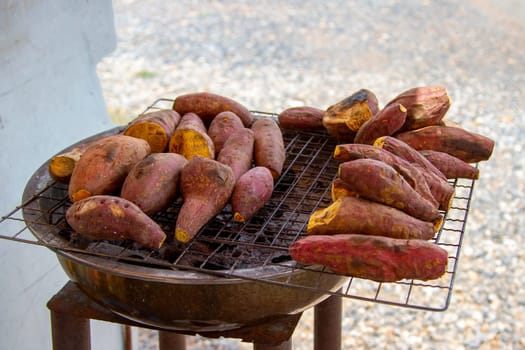 Potato of purple grill on the stove