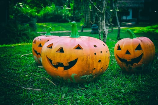 Halloween pumpkins on lawn and halloween Background