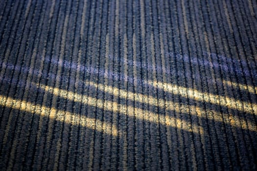 Blue carpet modern in room flooring wallpaper
