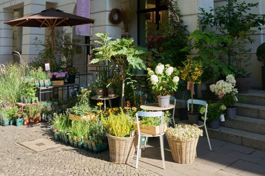 Flower store in a quiet street in the center of Berlin