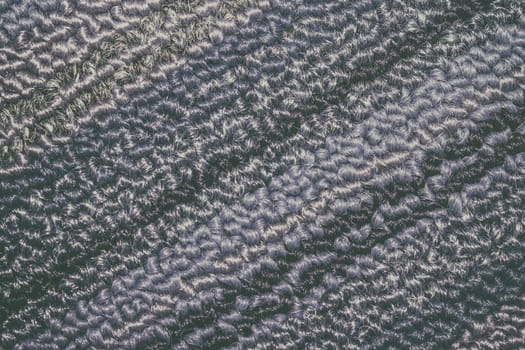 blue and sky and gray carpet background texture