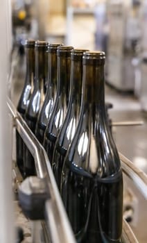 Dark glass bottles being filled with wine by industrial bottling machine at modern wine factory in Italy. Automatic conveyor line for wine-producing