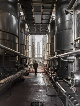 A worker going between steel tanks for wine fermentation at a modern winery. Large brewery silos typically used for storing barley or fermeted beer against blue sky.