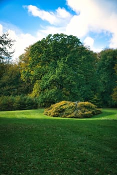 Frederiksborg Castle Park in autumn with mighty deciduous trees on the garden meadows. Colorful colors of the leaves. Walk in Denmark