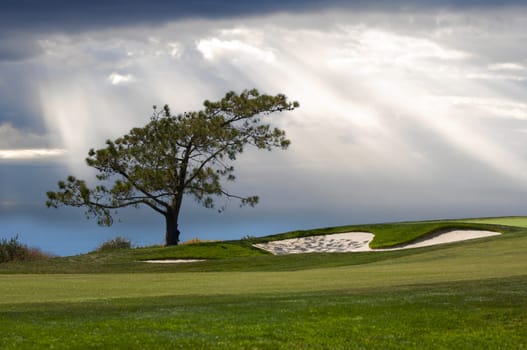 View Over The Pacific Ocean from Torrey Pines Golf Course.
