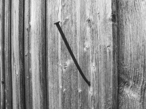 Close-up of a crooked and rusty nail in the exterior wall of a wooden barn in a monochrome look..