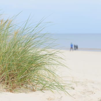 Beach on the coast of Swinoujscie on the Polish Baltic Sea coast. In the background blurry walkers.