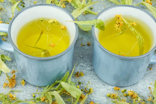 Healing inflorescences of linden or tilia, herbal medicine, medicinal plants.