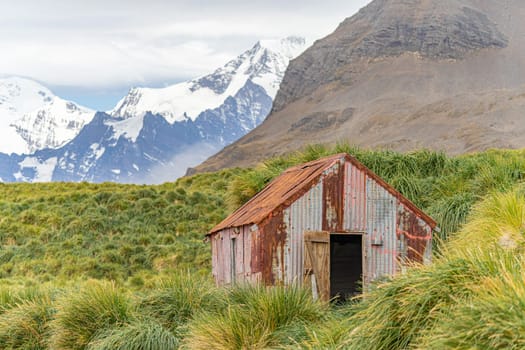 South Georgia Landscape Idyll in Jason Harbour _ Lagoon Point, Jason Harbour - A sheltered anchorage named after C.A. Larsen's whaling boat Jason, which stopped in the bay in April 1894. It is worth a visit for its diverse wildlife alone: king penguins and nesting skuas can be seen alongside fur seals and elephant seals. There is also a shelter in the bay, which was built in 1911 and was mainly used to send mail between whaling stations.