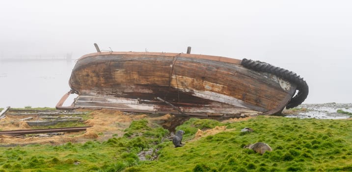 Wrecks of old whaling boats in Grytviken South Georgia in fog