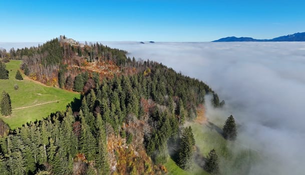 Aerial shot with drone of forest in autumn with fog in Bavaria
