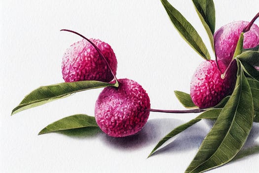 The Chinese lychee is the only species of the Lychee genus.