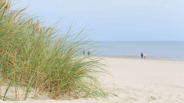 Beach on the coast of Swinoujscie on the Polish Baltic Sea coast. In the background blurry walkers.