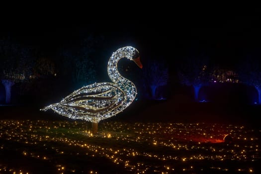 an illuminated Swan made of fairy lights at the Lumagica light installation in the Elbauenpark in Magdeburg to set the mood for the Christmas season