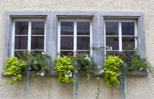 Old house in Saalfeld - windows with flowers, Germany