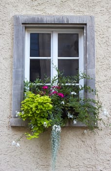 Old house in Saalfeld - window with flowers, Germany