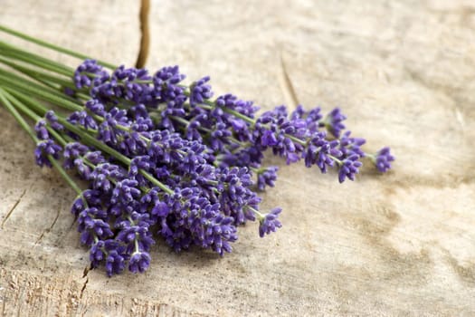 Bunch of lavender flowers on old wooden background