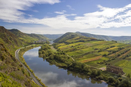 Moselle River in Germany, view of Calmont village and vineyards in the Mosel river valley, Germany