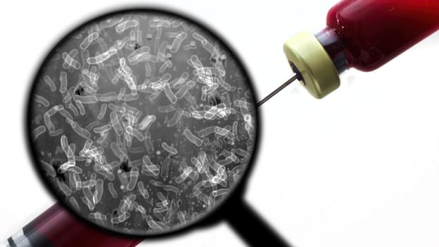 Searching for bacteria in blood,Searching for bacteria in blood