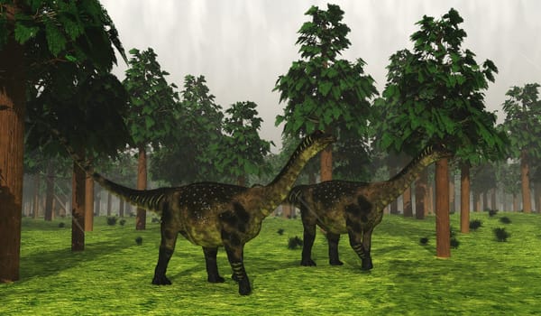 Antarctosaurus was a sauropod herbivorous dinosaur that lived in South America during the Cretaceous Period.