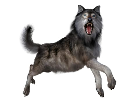 The carnivorous Dire Wolf lived in North and South America during the Pleistocene Period.