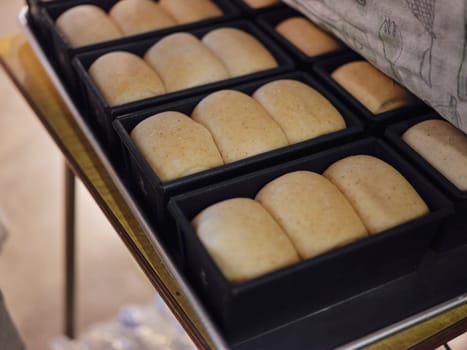 Close up view . Homemade bakery sourdough yeast artisan bread raw
