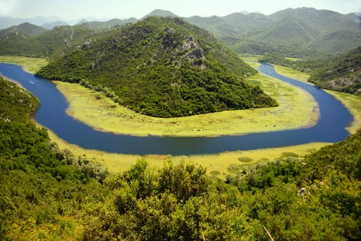 Skadarsko jezero, Montenegro, the largest lake in the Balkan Peninsula.