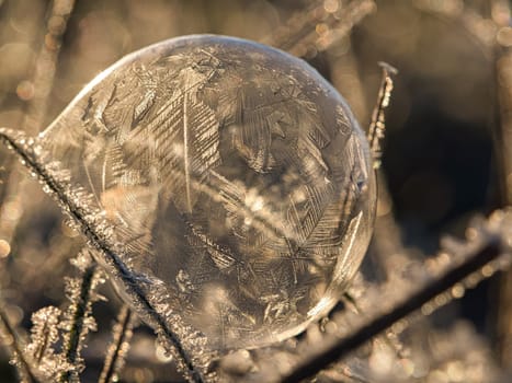 soap bubble on which ice crystals have formed due to the frost. in the light of the setting sun. filigree patterns are created on the soap bubble due to the cold.