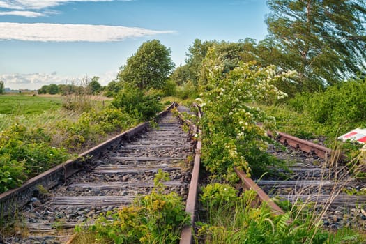old wagons and tracks on the former railway line to Fischland-Darss, Bresewitz, Mecklenburg-Western Pomerania