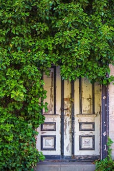 old back entrance in Zingst, Fischland-Darss, Mecklenburg-West Pomerania, Germany