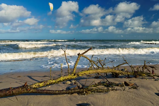 Baltic Sea coast near Kuehlungsborn, Mecklenburg-West Pomerania