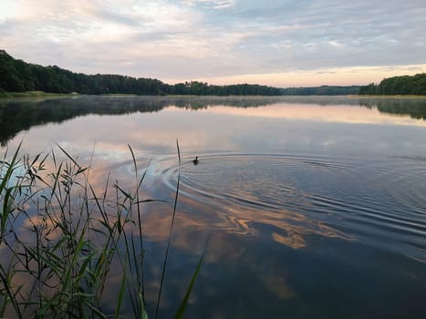 Dawn at Lübbesee near Templin, Brandenburg, Germany