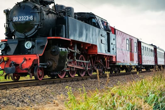 Narrow gauge steam locomotive Molli, Mecklenburg-West Pomerania, Germany
