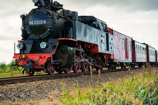 Narrow gauge steam locomotive Molli, Mecklenburg-West Pomerania, Germany