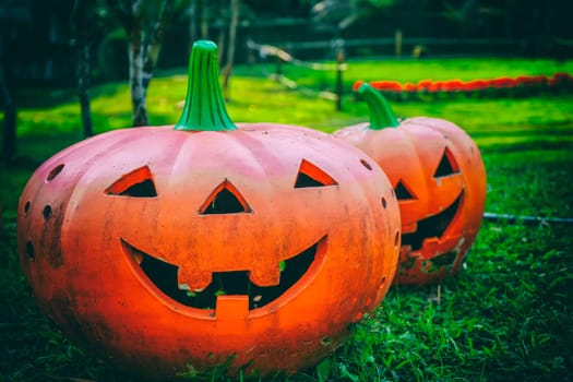 Halloween of pumpkin on the green Lawn